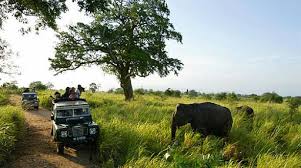 Wasgamuwa National park