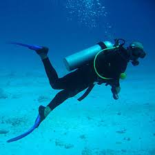 Sri Lanka Diving Tours