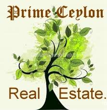 Prime Ceylon Real Estate