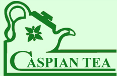 CASPIAN TRADING PVT LTD