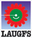 LAUGFS Holdings Limited