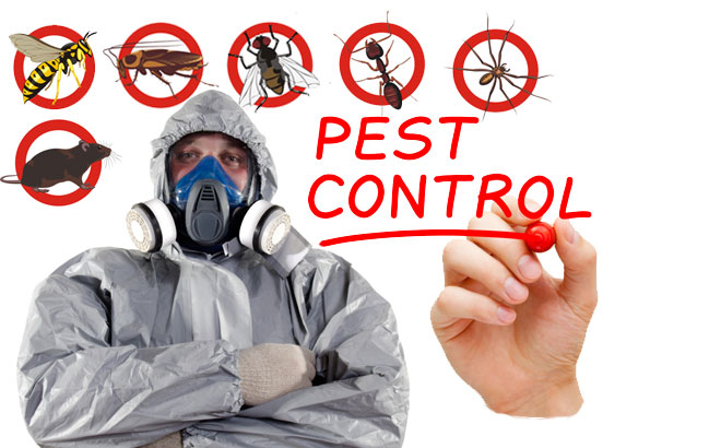 Ceylon Pest Control Co (Pvt) Ltd