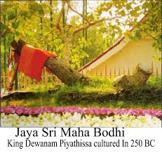 Jaya Siri Maha Bodhi
