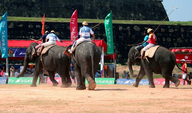 Elephant Polo Tournament
