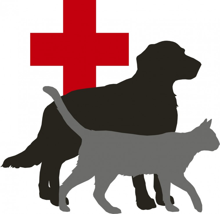 beLOVEd Animal Hospital