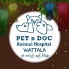 Pet n Doc Wattala (Animal Hospital)
