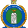 SLAF Palavi