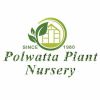 Polwaththa Plant Nursery