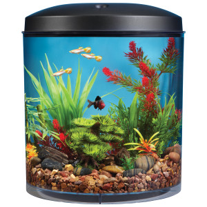 Ceylinco Ornamental Fish Aquarium (Pvt) Ltd