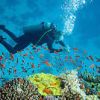 Trinco Bay Dive Center , PADI 5 Star Dive Resort