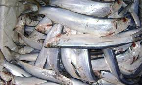Ceylon Tuna Exports (Pvt) Ltd