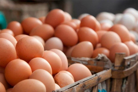 Local egg to be sold at a price of Rs35