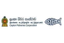 Fisheries Corporation to restructure as PPP venture