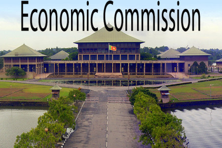 Government sets up economic commission to centralize relevant powers.