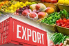 Agricultural Exports record and an increase in First Half of 2024