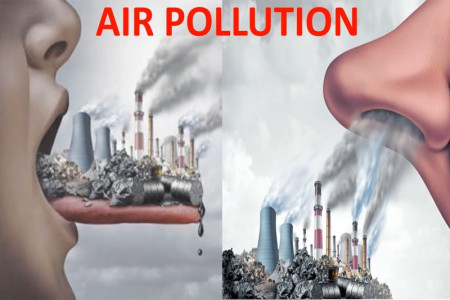 Air pollution triggered heart diseases visible in Sri Lanka : Expert