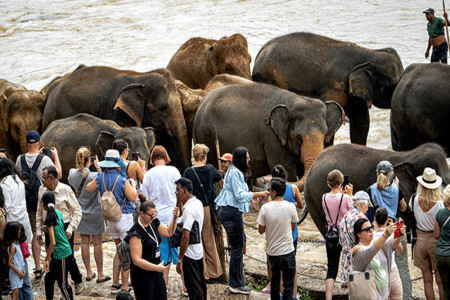 Sri Lanka surpasses 1.2 million visitors for 2024 so far