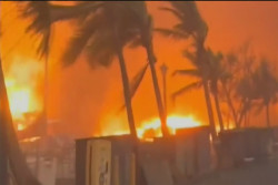 Hawaii wildfires: Crews may find 10 to 20 wildfire victims a day - governor