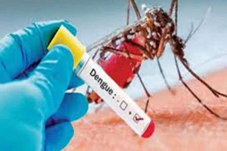 15 MOH areas flagged as high-risk zones due to rise in dengue cases: NDCU