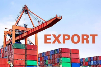Sri Lanka’s June 2024 Exports Hit new high of US$1.03 Billion